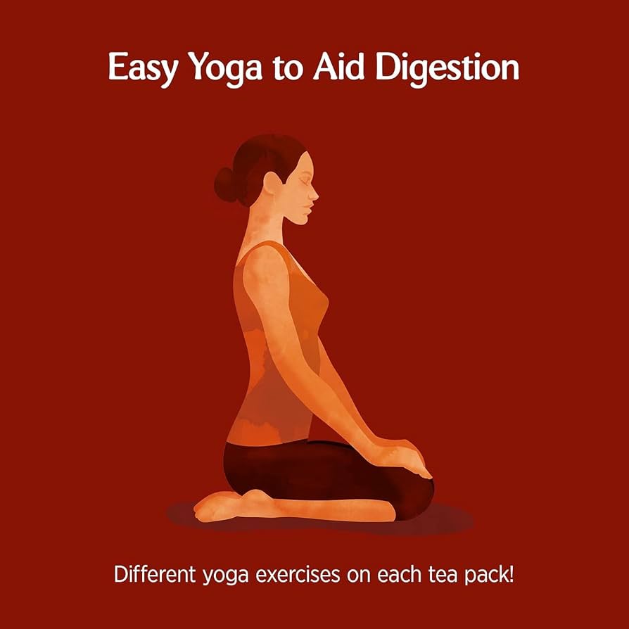 Yogi Tea Stomach Ease , 17 Tb